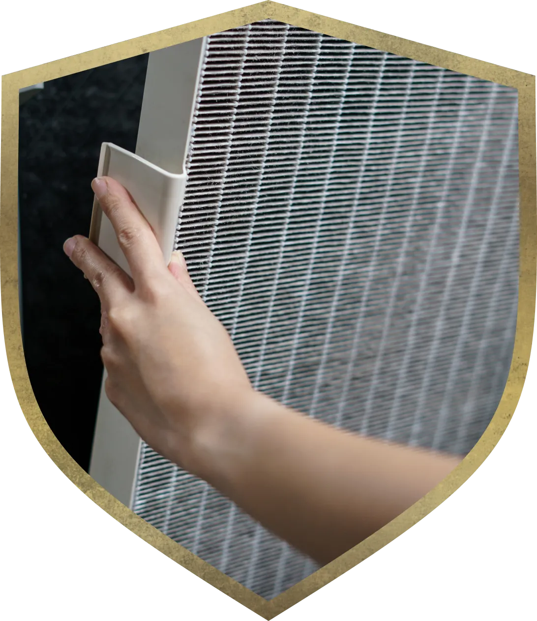 air purification service main